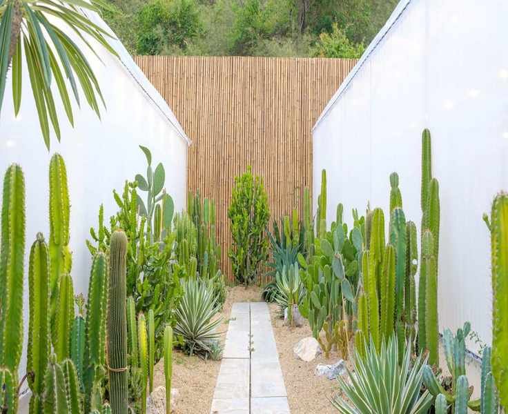 Desert Landscaping Ideas: 12 Solutions for Stunning Dry Gardens