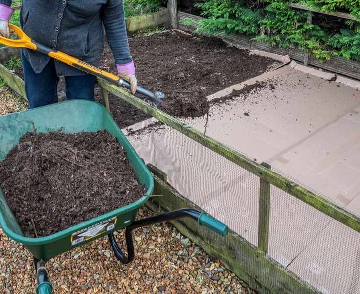 no dig bed with cardboard layers