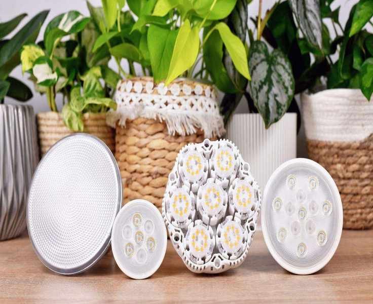 Using Grow Lights for Indoor Plants: Timing and Tips