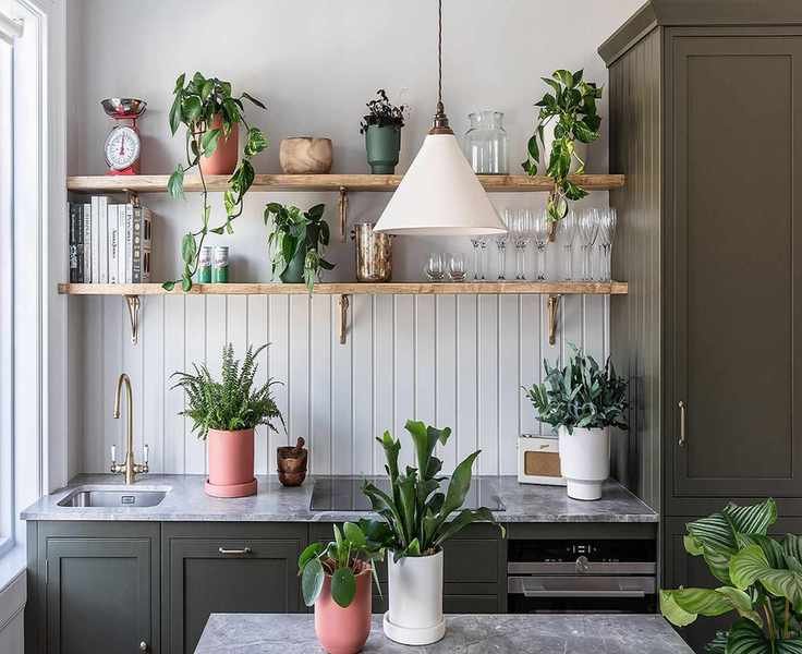 Effective Methods for Eliminating Gnats in Houseplants