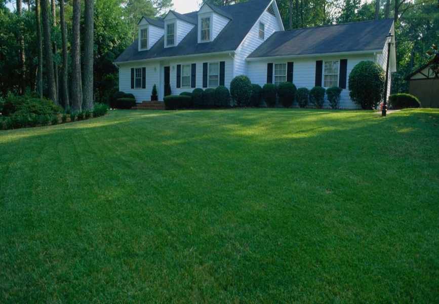 3 Effective Solutions to Fix a Muddy Lawn and Improve Drainage
