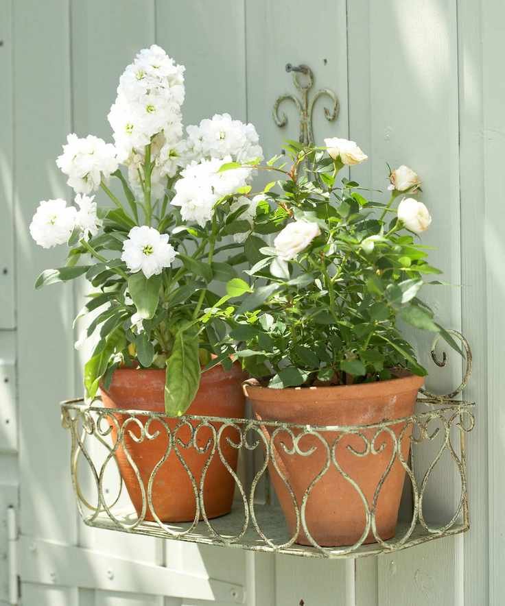 Hanging metal planter with two terracotta flower pots filled with white flowers