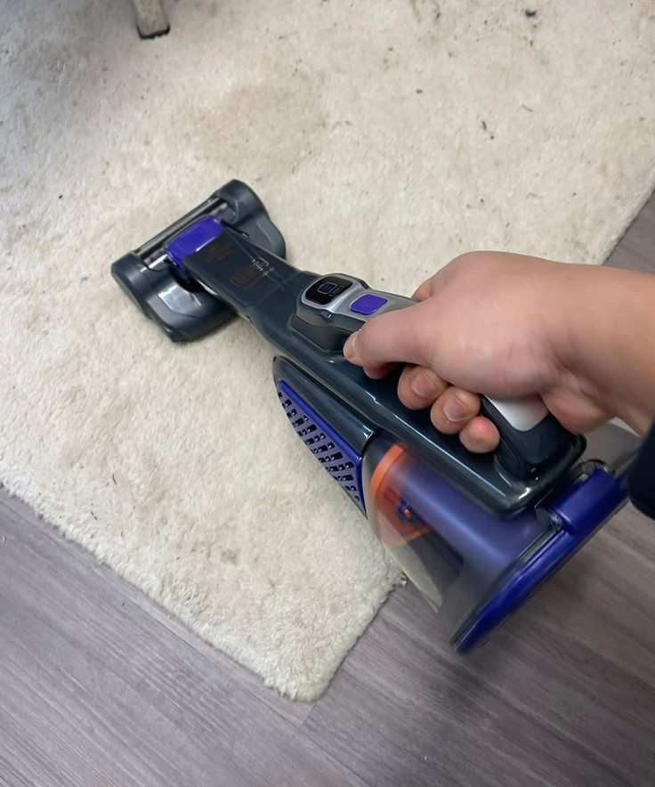Dustbuster Furbuster AdvanceClean+ Pet vacuuming at an animal rescue center