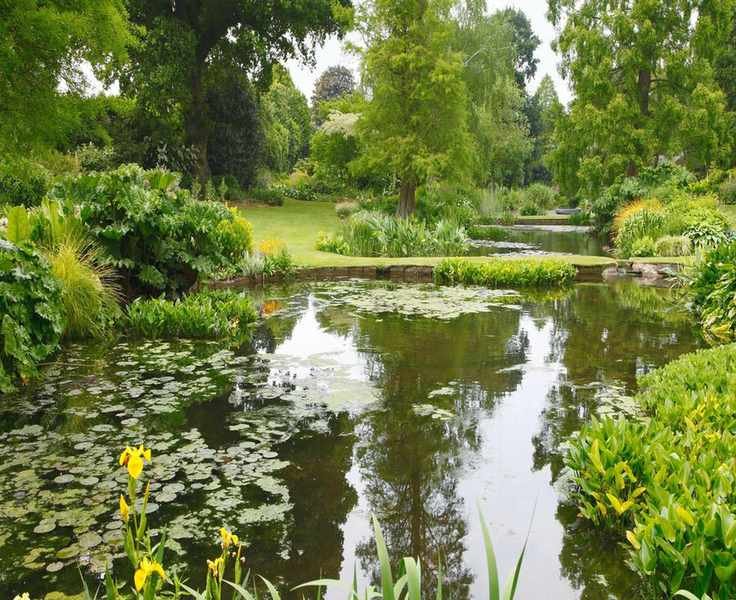 11 Inspiring Japanese Garden Ideas for a Peaceful Outdoor Space