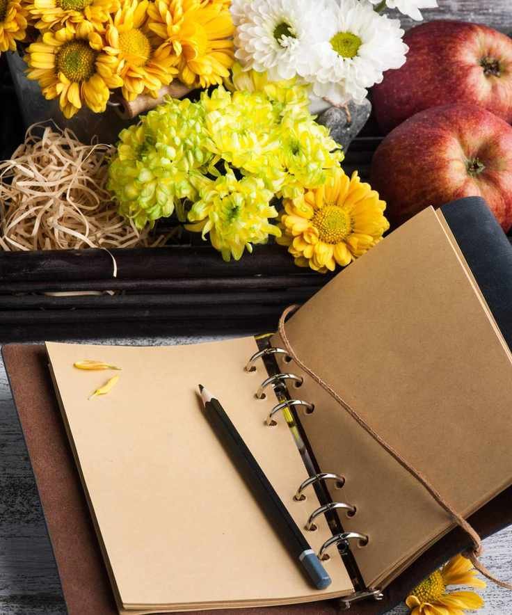 Planning a garden with flower blooms