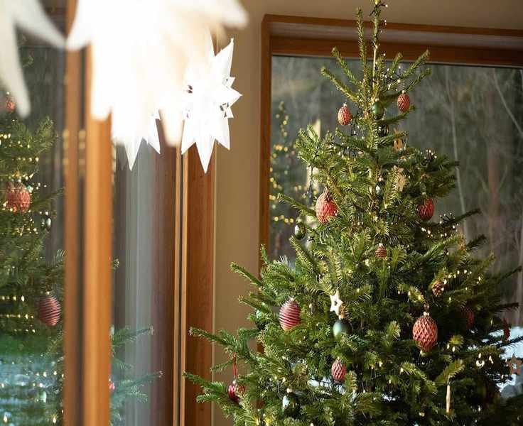 Essential Pre-Christmas Decluttering Steps for Stress-Free Holiday Hosting