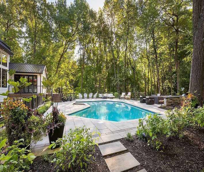Avoid These Trees Near Your Pool for a Cleaner Experience