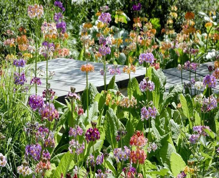 9 Flower Bed Trends for 2025 That Will Transform Your Garden