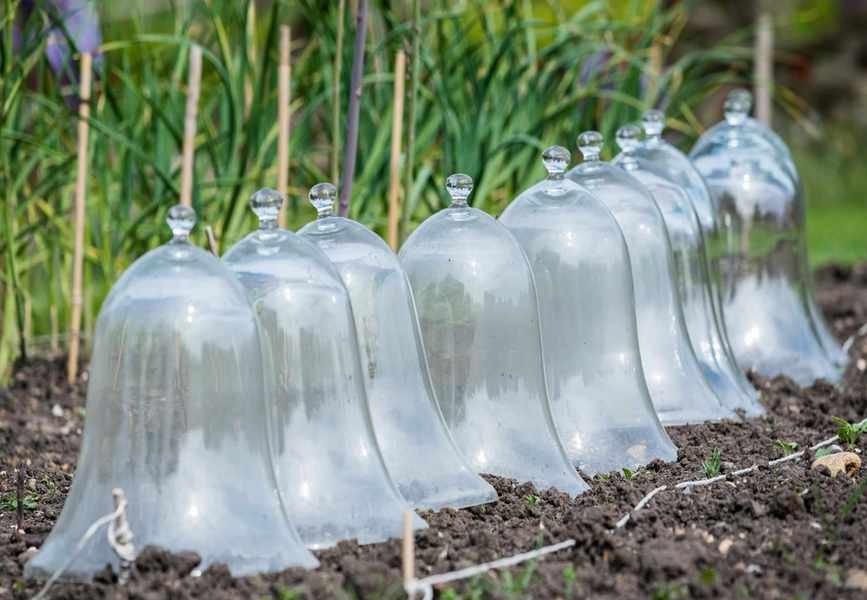 Warming Up Soil: Simple Methods for Preparing Ground for Planting