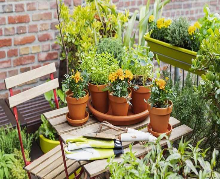 Designing a Balcony Herb Garden for a Lush, Aromatic Retreat