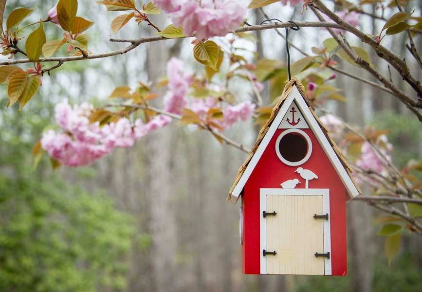 Charming Bird House Designs to Attract Feathered Friends