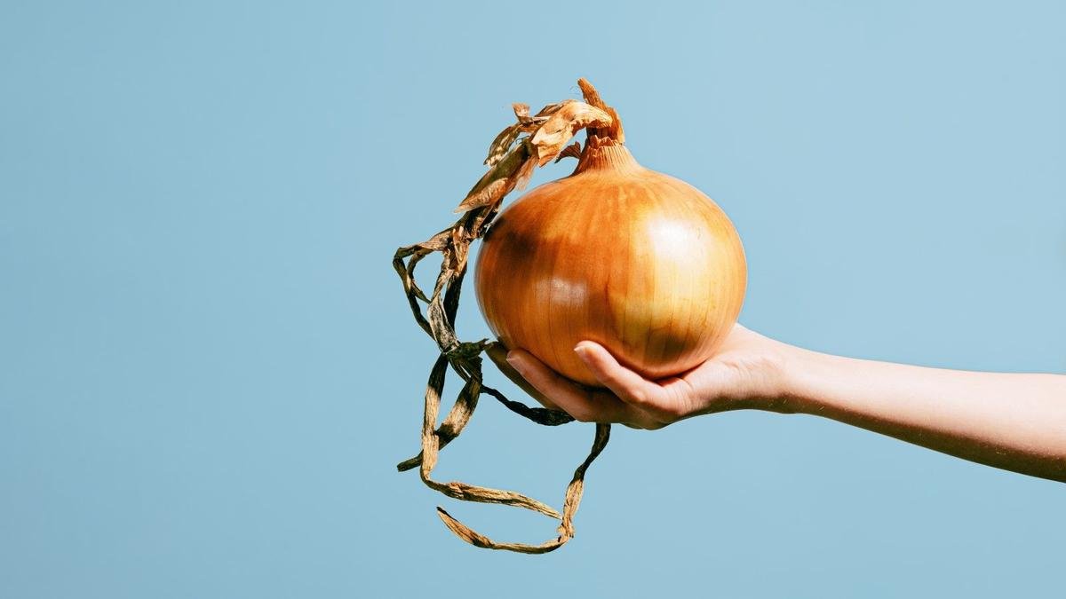 Essential Tips for Fertilizing Onions for Larger, Healthier Crops
