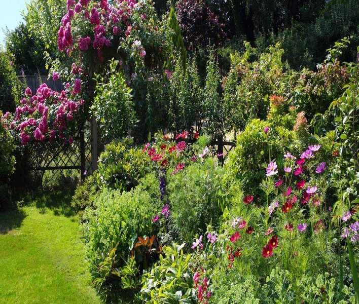 Keep Soil Moist in Summer: Effective Strategies for Gardeners