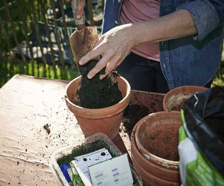 New soil in container