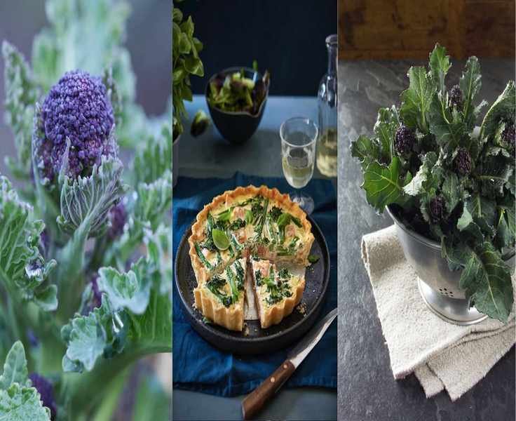 Growing Broccoli: Tips for a Delicious Home Harvest
