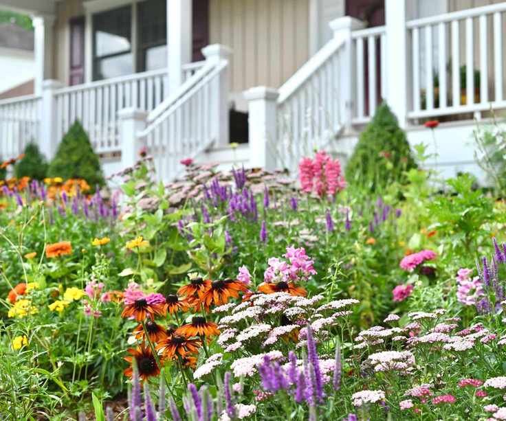 mosaic planting in flowerbeds with helenium, salvia, achillea and evergreen topiary