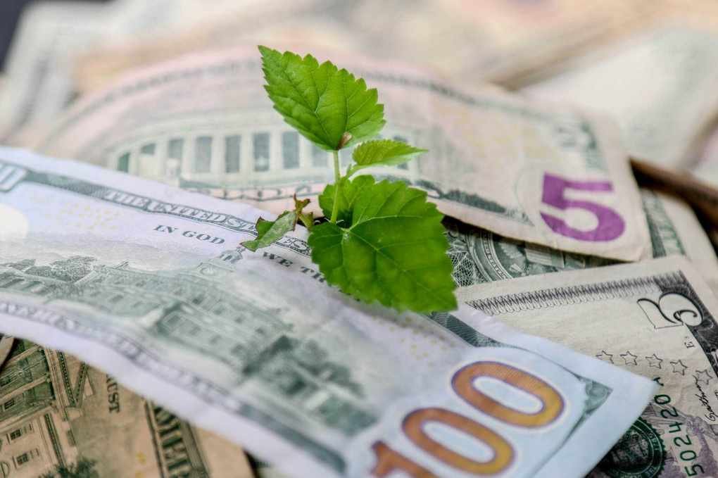 Investing with Just $1,000: Your Best Options to Start Now