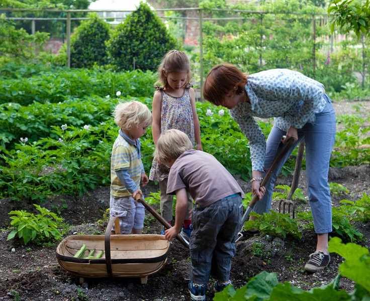 Engaging Kids in Gardening: 8 Fun Projects for All Ages