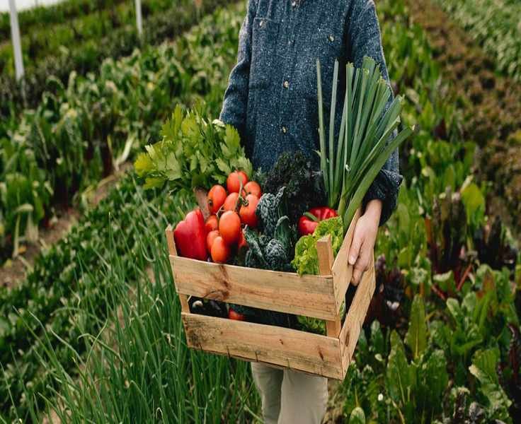 10 Eco-Friendly Ways to Cut Costs and Help the Planet