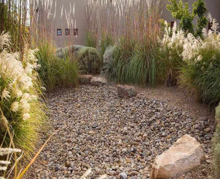 Create a Rain Garden in 4 Easy Steps for a Sustainable Yard