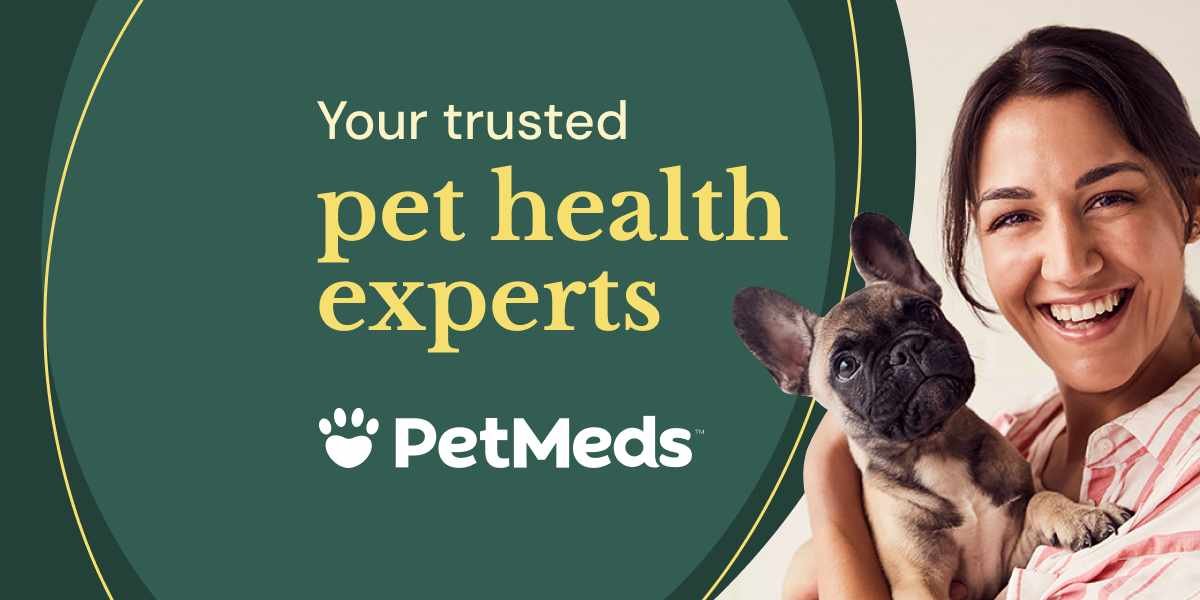 Navigating Pet Care: The Growth of PetMeds