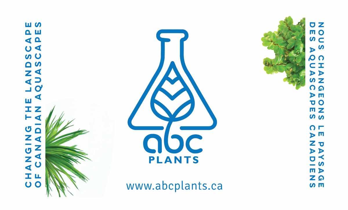 ABC Plants: Your Go-To for Uncommon Pet Care