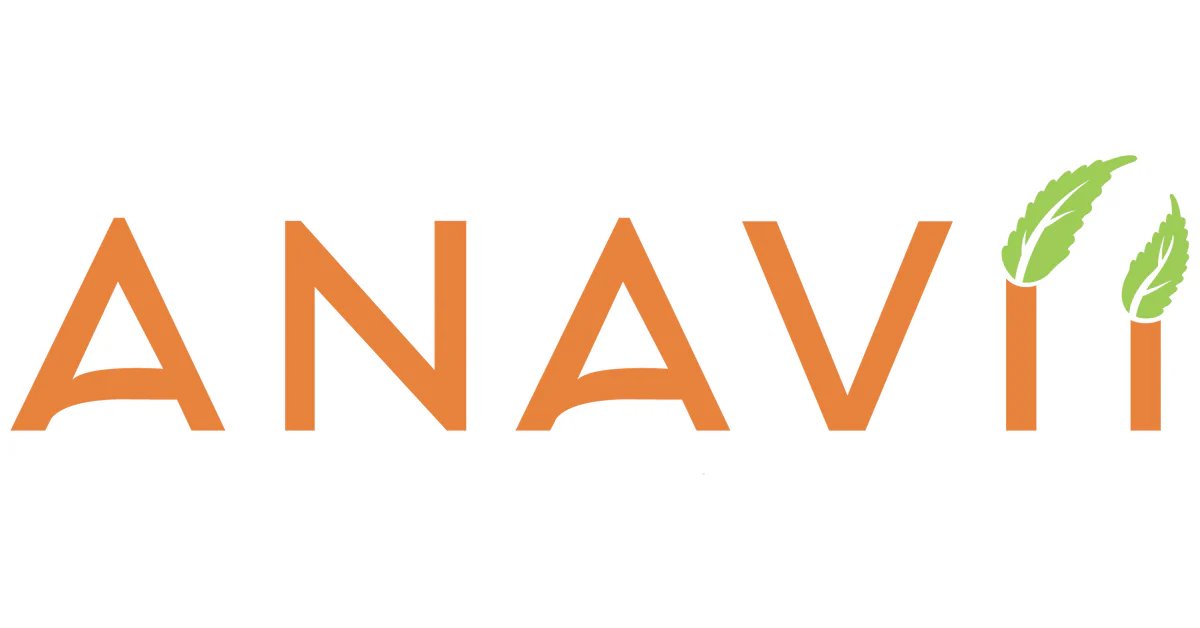 Anavii Market 101: 12 Buys + Saving Plays Worth Trying