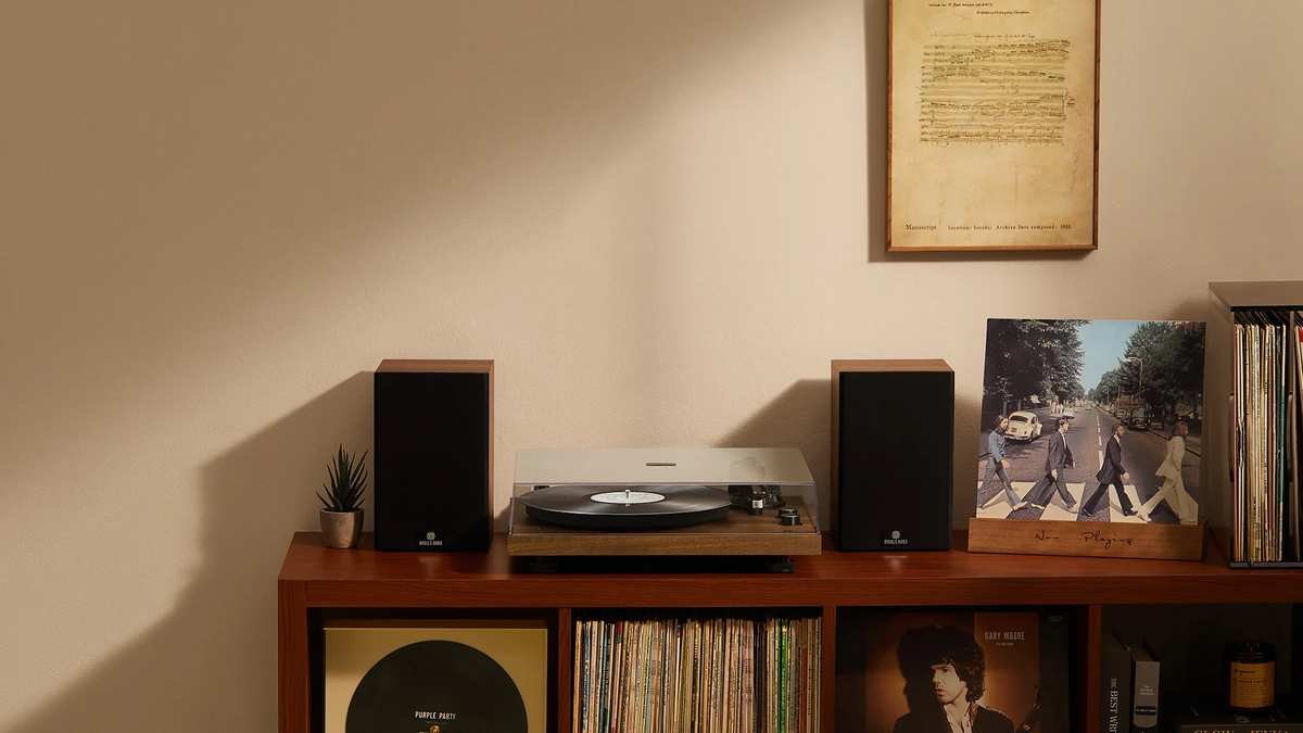 The Vinyl Revival