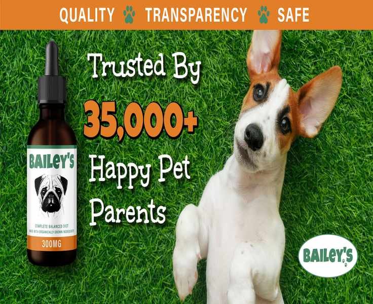 The Honest Take on Bailey's CBD for Your Pets