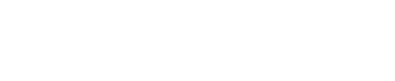 Bike-Mailorder 2026: A Buyer's Reality Check