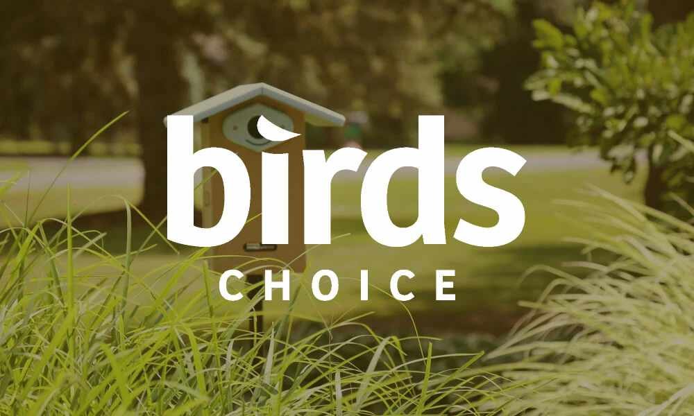 Shopping Birds Choice: 12 Tactics Regular Customers Actually Use