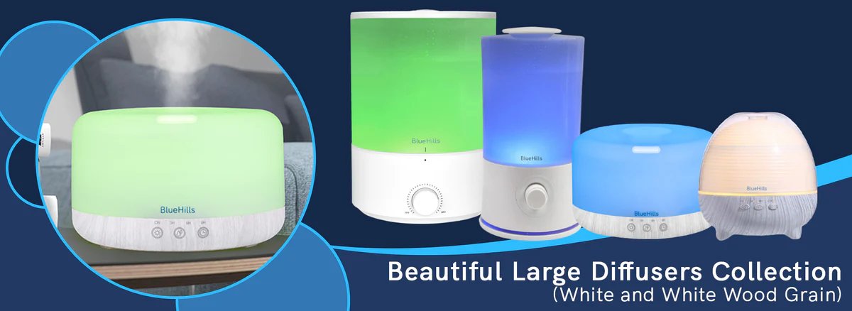 Blue Hills or Flipkart? Here's What Each Does Best