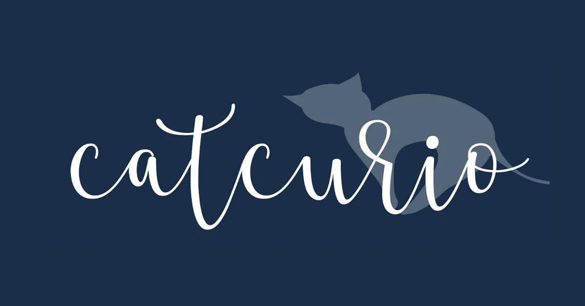 14 Things to Consider Before Spoiling Your Cat at CatCurio
