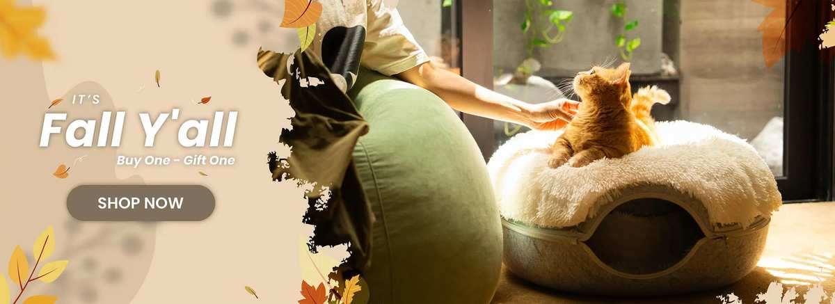The Cat Care Brands Shaping Our Pet Shopping Choices