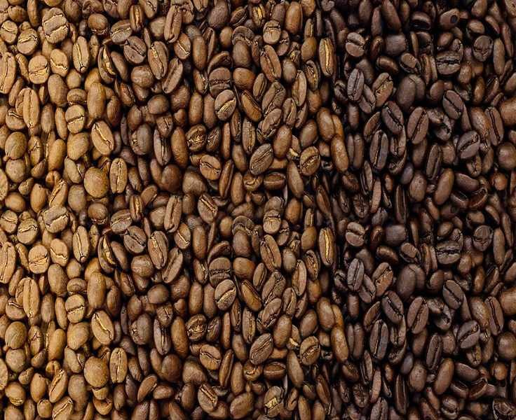 Copper Moon Coffee, From the Other Side of Checkout