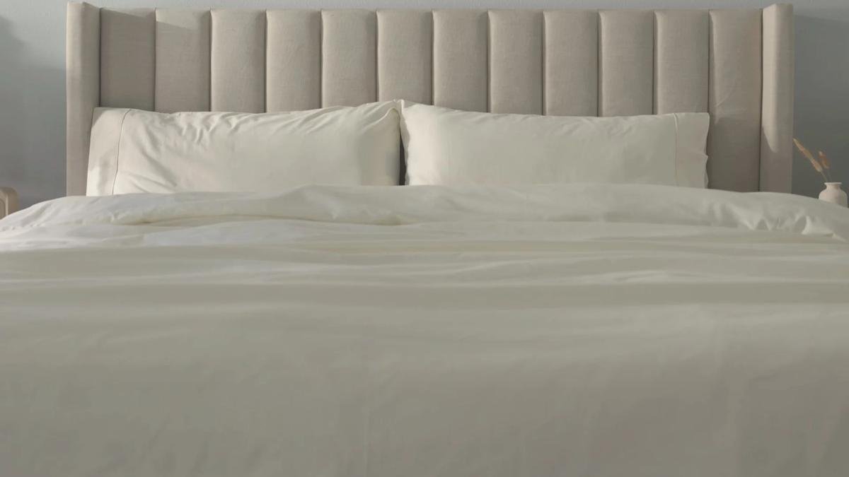 DelaraHome: A Shopper's Field Guide to Eco-Friendly Comfort