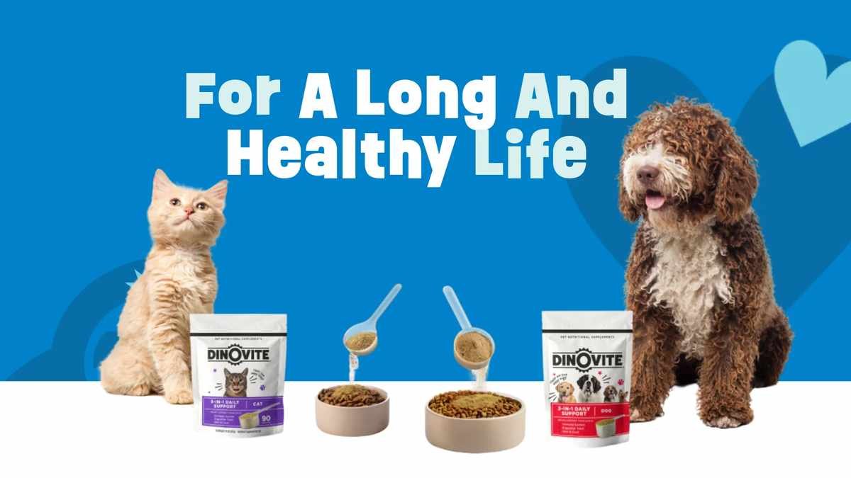 The Quiet Rise of Dinovite: Transforming Pet Health