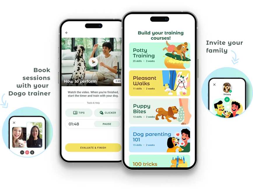 The Honest Take on Dogo App (From Someone Who Shops It)