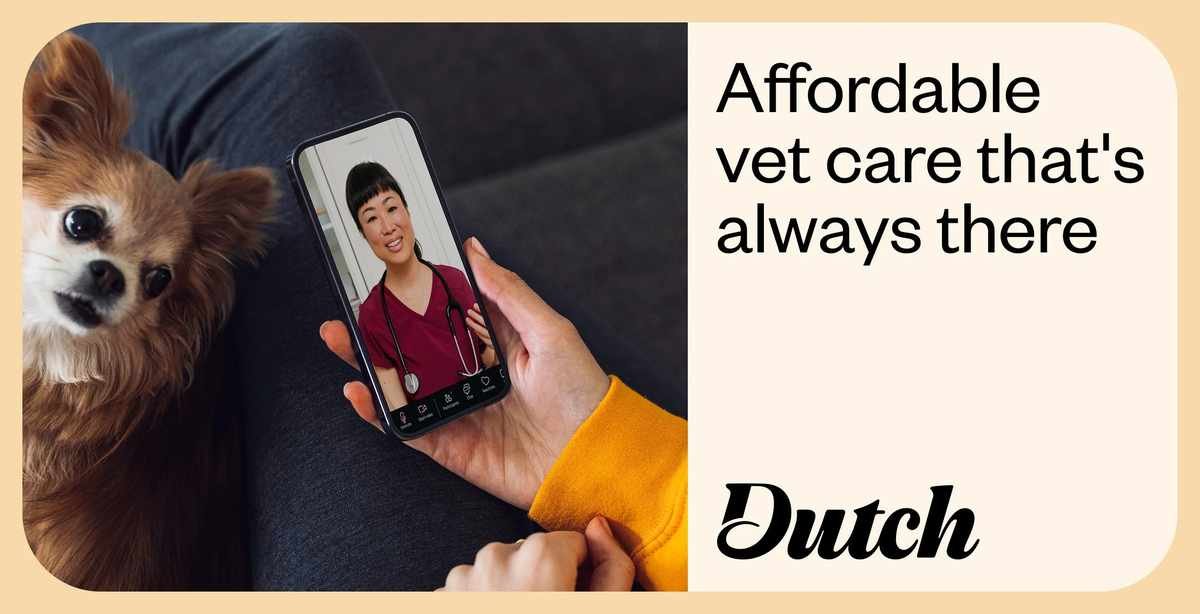 Shopping Dutch Pet: 12 Tactics Regular Customers Actually Use
