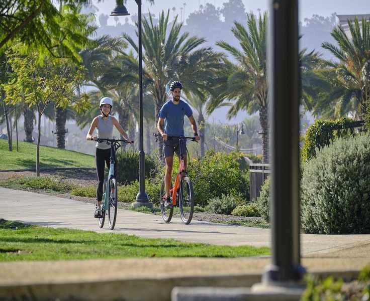 Pedal Your Way to Fitness: Discover Elliptigo