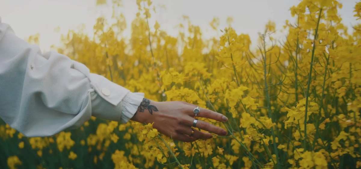 Forces of Nature Medicine: Healing Without Compromise
