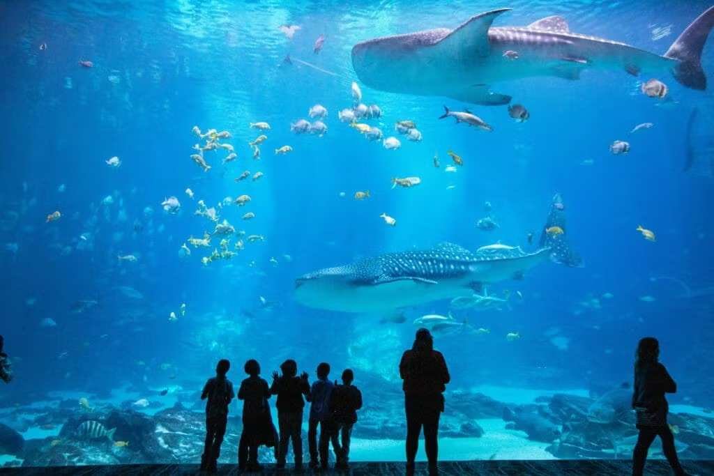 The Entertainment Attractions Brands Quietly Changing How We Explore