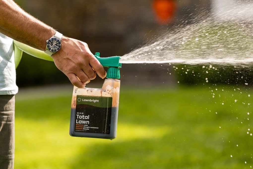 12 Things to Consider When Choosing Lawnbright for Your Yard