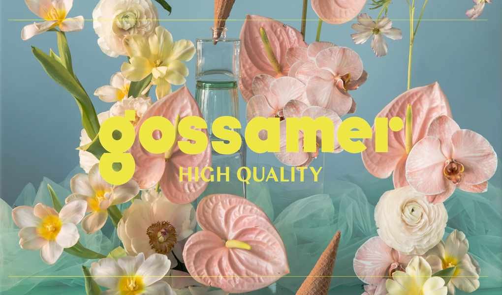 Gossamer or WIRED? Here's What Each Does Best