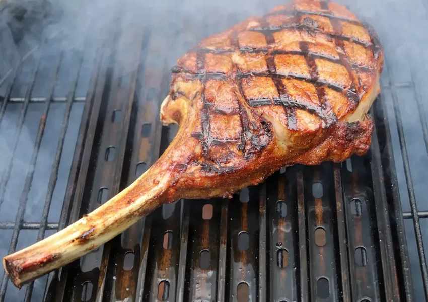 Grilling's New Wave: Brands to Know This Year