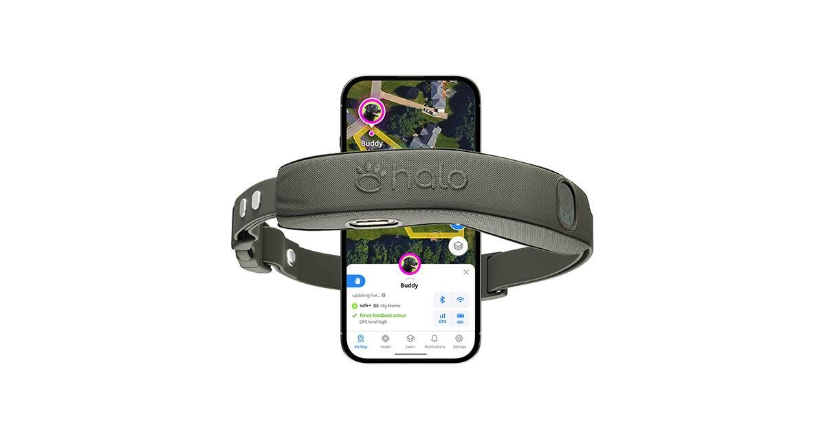 Halo Collar 2026: A Buyer's Reality Check