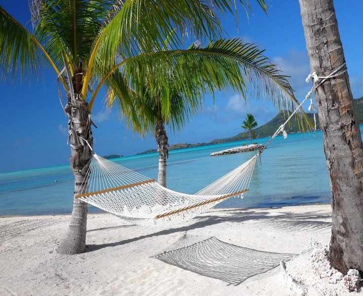 12 Smart Moves for Shopping Hammock Universe