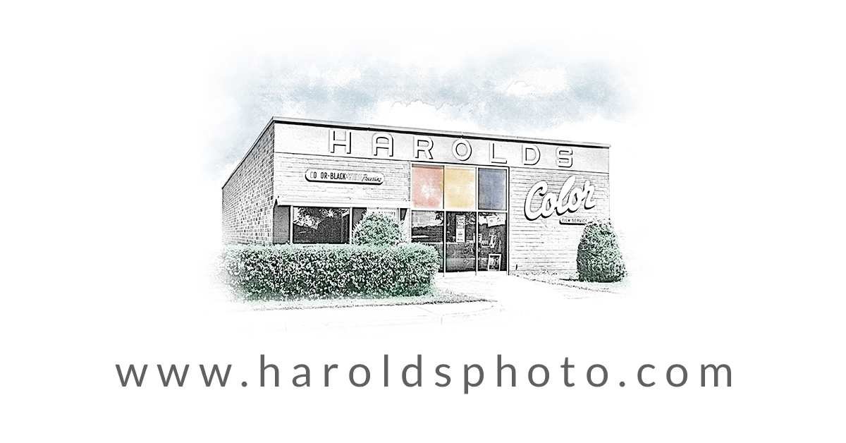 Harolds: From the Other Side of Checkout