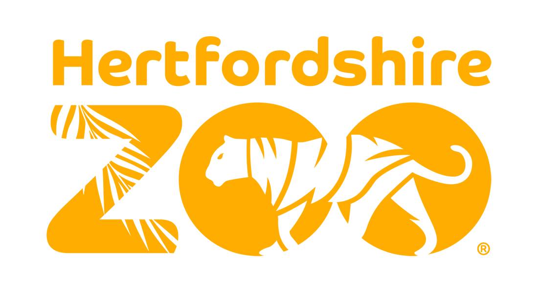 A Side-by-Side: Hertfordshire Zoo Against the Competition