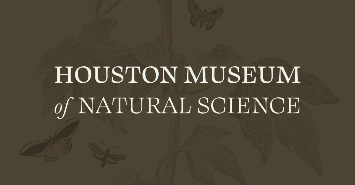 The Entertainment Attractions Changing How We Experience Science